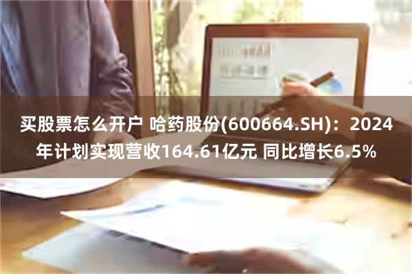 买股票怎么开户 哈药股份(600664.SH)：2024