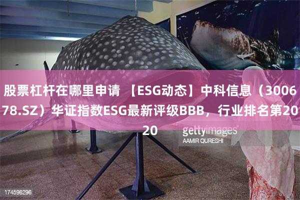 股票杠杆在哪里申请 【ESG动态】中科信息（300678.SZ）华证指数ESG最新评级BBB，行业排名第20