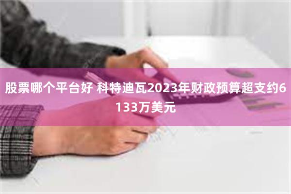 股票哪个平台好 科特迪瓦2023年财政预算超支约6133万美元