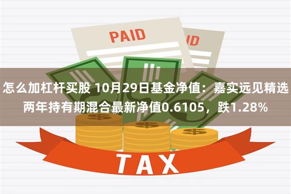 怎么加杠杆买股 10月29日基金净值：嘉实远见精选两年持有期混合最新净值0.6105，跌1.28%