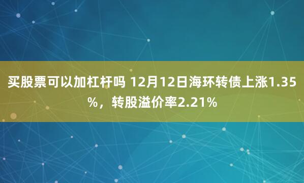 买股票可以加杠杆吗 12月12日海环转债上涨1.35%，转股溢价率2.21%