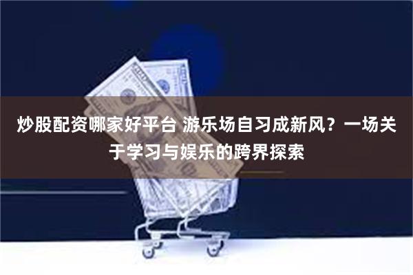 炒股配资哪家好平台 游乐场自习成新风？一场关于学习与娱乐的跨界探索