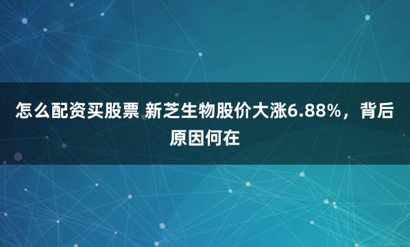 怎么配资买股票 新芝生物股价大涨6.88%，背后原因何在