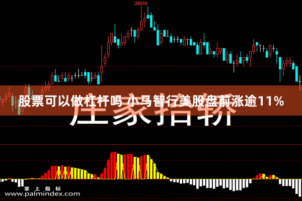 股票可以做杠杆吗 小马智行美股盘前涨逾11%